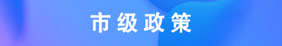 市級政策